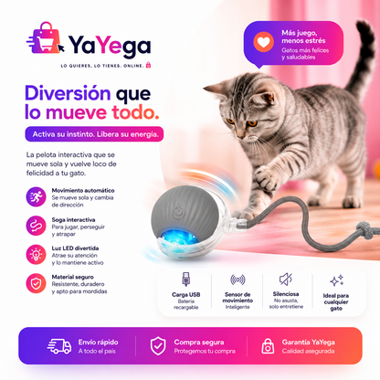 SpinHunt | Pelota Inteligente para Gatos