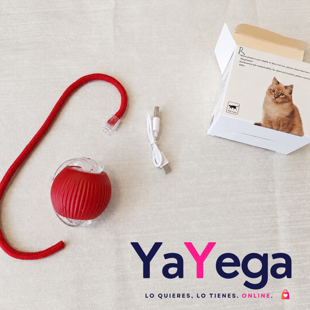 SpinHunt | Pelota Inteligente para Gatos