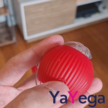 SpinHunt | Pelota Inteligente para Gatos